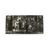 LP - Nomade Orquestra - 2014 (ESGOTADO)
